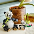Vadállatok: Pandacsalád