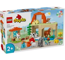 Állatok gondozása a farmon