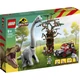 Brachiosaurus felfedezés
